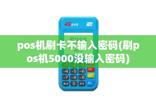 pos机刷卡不输入密码(刷pos机5000没输入密码)