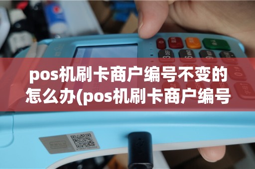 pos机刷卡商户编号不变的怎么办(pos机刷卡商户编号不变的)