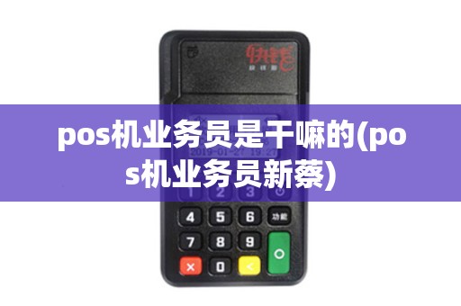 pos机业务员是干嘛的(pos机业务员新蔡)