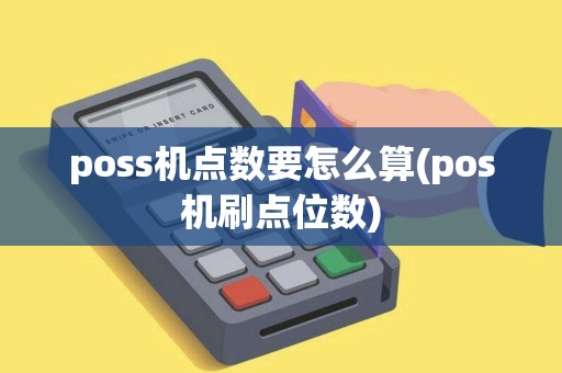 poss机点数要怎么算(pos机刷点位数)