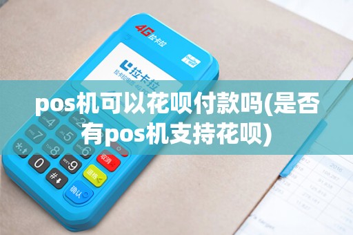 pos机可以花呗付款吗(是否有pos机支持花呗)