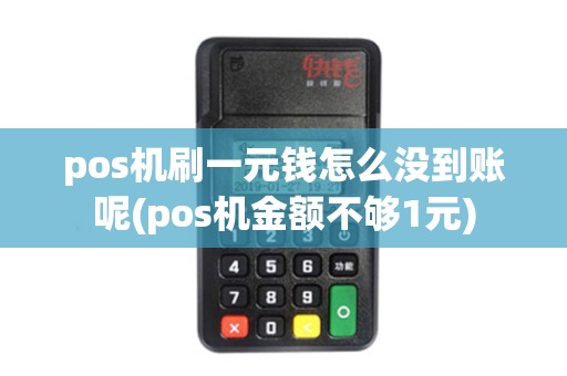pos机刷一元钱怎么没到账呢(pos机金额不够1元)