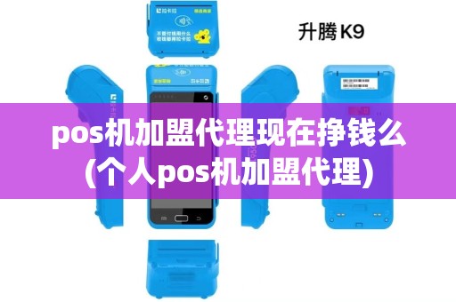 pos机加盟代理现在挣钱么(个人pos机加盟代理)
