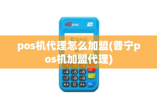 pos机代理怎么加盟(普宁pos机加盟代理)