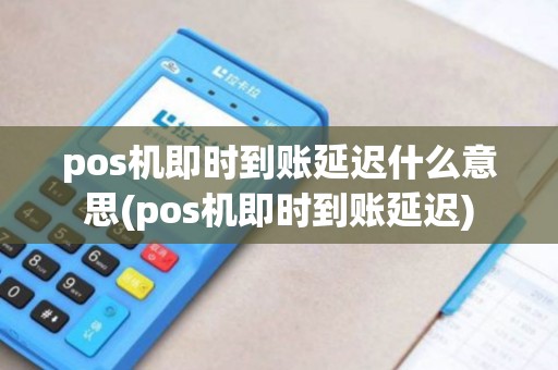 pos机即时到账延迟什么意思(pos机即时到账延迟)