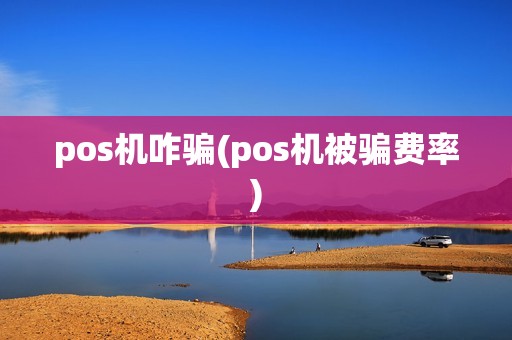 pos机咋骗(pos机被骗费率)