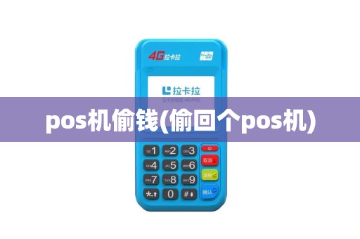 pos机偷钱(偷回个pos机)