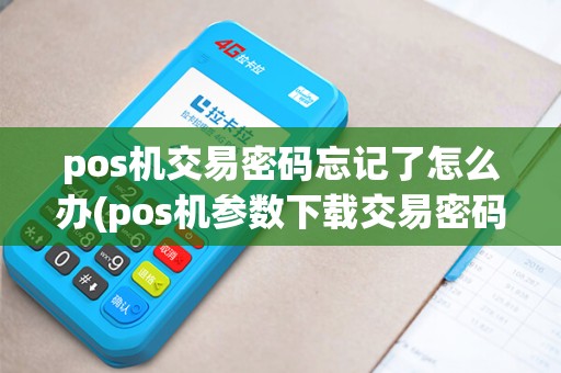 pos机交易密码忘记了怎么办(pos机参数下载交易密码)