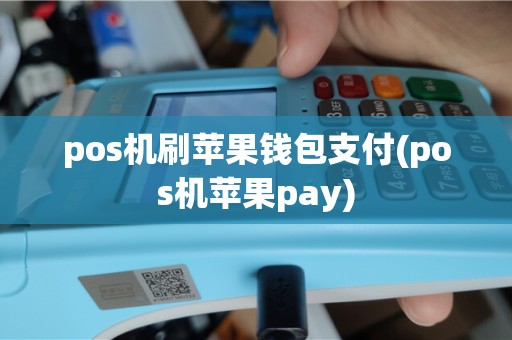 pos机刷苹果钱包支付(pos机苹果pay)