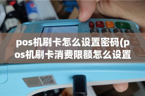 pos机刷卡怎么设置密码(pos机刷卡消费限额怎么设置)