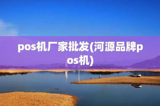 pos机厂家批发(河源品牌pos机)