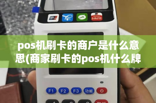 pos机刷卡的商户是什么意思(商家刷卡的pos机什么牌子)