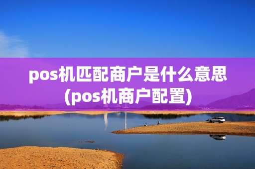 pos机匹配商户是什么意思(pos机商户配置)