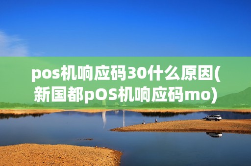 pos机响应码30什么原因(新国都pOS机响应码mo)