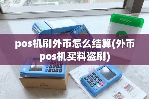 pos机刷外币怎么结算(外币pos机买料盗刷)