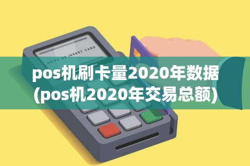 pos机刷卡量2020年数据(pos机2020年交易总额)