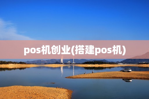 pos机创业(搭建pos机)