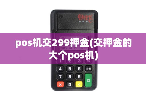 pos机交299押金(交押金的大个pos机)