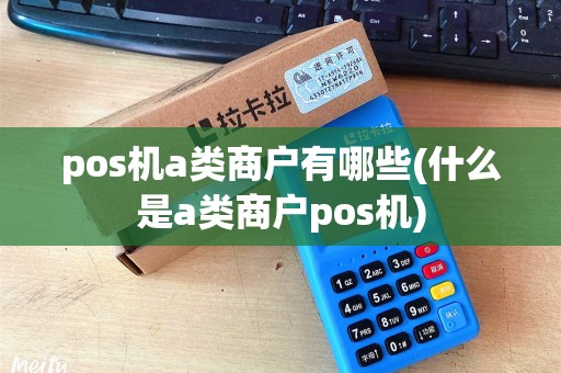 pos机a类商户有哪些(什么是a类商户pos机)