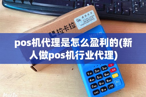 pos机代理是怎么盈利的(新人做pos机行业代理)
