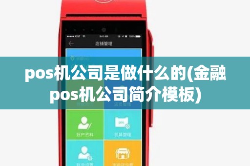 pos机公司是做什么的(金融pos机公司简介模板)