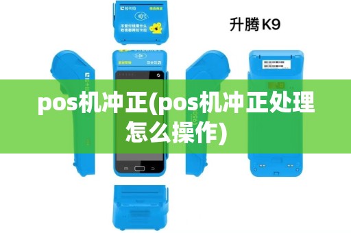 pos机冲正(pos机冲正处理怎么操作)