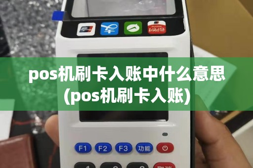 pos机刷卡入账中什么意思(pos机刷卡入账)