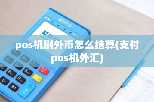 pos机刷外币怎么结算(支付pos机外汇)