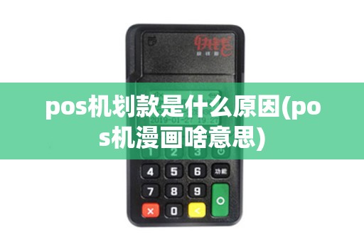 pos机划款是什么原因(pos机漫画啥意思)
