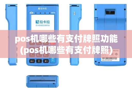 pos机哪些有支付牌照功能(pos机哪些有支付牌照)