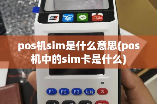 pos机sim是什么意思{pos机中的sim卡是什么}