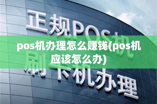 pos机办理怎么赚钱(pos机应该怎么办)