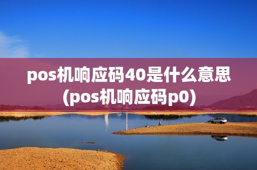 pos机响应码40是什么意思(pos机响应码p0)