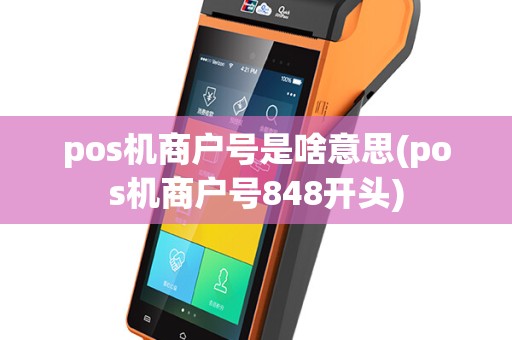 pos机商户号是啥意思(pos机商户号848开头)