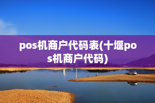 pos机商户代码表(十堰pos机商户代码)