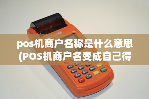 pos机商户名称是什么意思(POS机商户名变成自己得了)