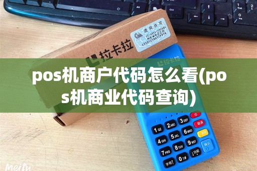 pos机商户代码怎么看(pos机商业代码查询)