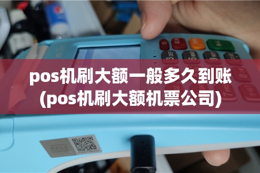 pos机刷大额一般多久到账(pos机刷大额机票公司)