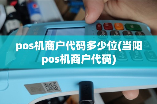pos机商户代码多少位(当阳pos机商户代码)