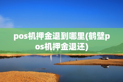 pos机押金退到哪里(鹤壁pos机押金退还)