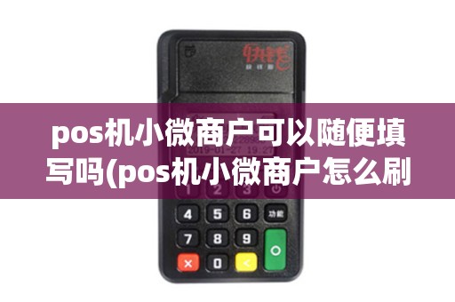pos机小微商户可以随便填写吗(pos机小微商户怎么刷卡)