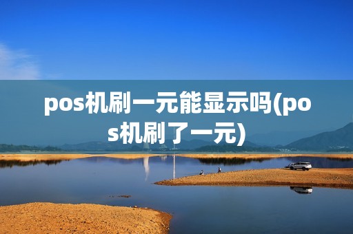 pos机刷一元能显示吗(pos机刷了一元)