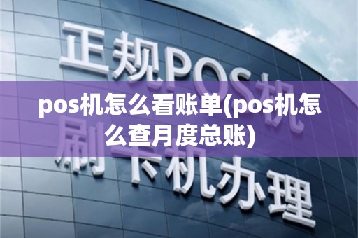 pos机怎么看账单(pos机怎么查月度总账)
