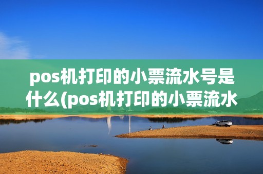 pos机打印的小票流水号是什么(pos机打印的小票流水号)