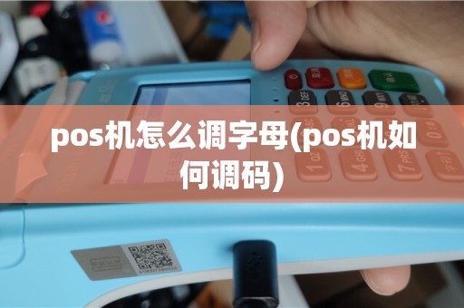 pos机怎么调字母(pos机如何调码)