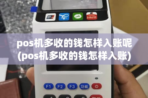 pos机多收的钱怎样入账呢(pos机多收的钱怎样入账)