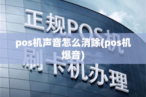 pos机声音怎么消除(pos机爆音)