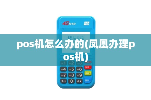pos机怎么办的(凤凰办理pos机)