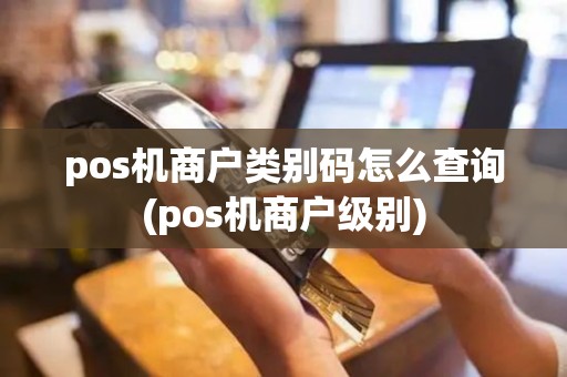 pos机商户类别码怎么查询(pos机商户级别)