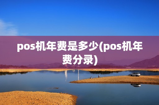 pos机年费是多少(pos机年费分录)